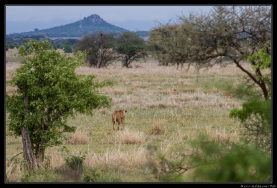 Tanzanie 2014