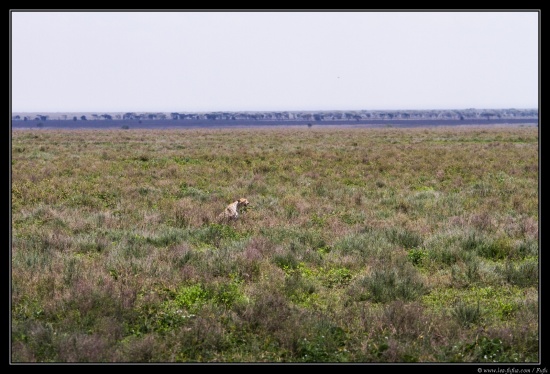 Tanzanie 2014