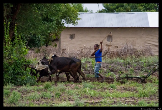 Tanzanie 2014