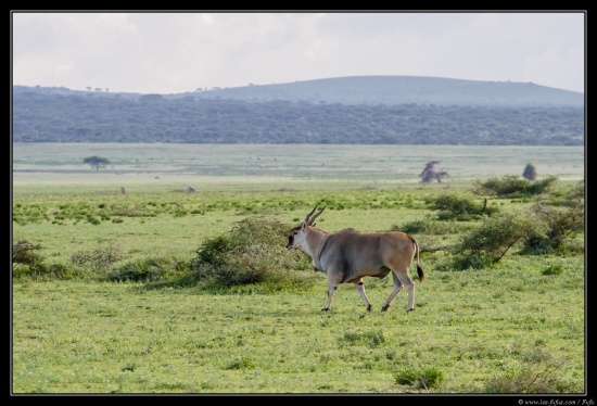 Tanzanie 2014