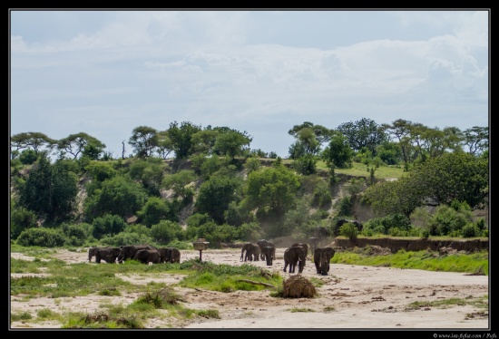 Tanzanie 2014