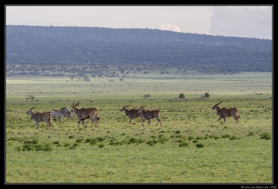 Tanzanie 2014