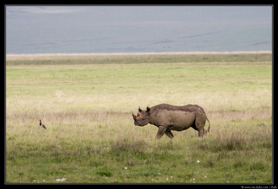 Tanzanie 2014