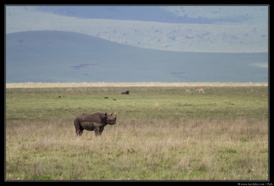 Tanzanie 2014