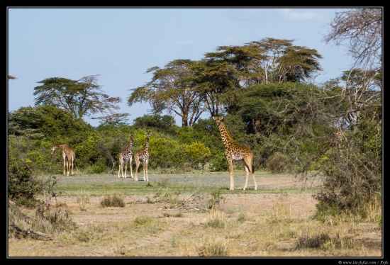 Tanzanie 2014