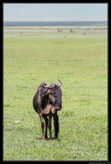 Tanzanie 2014