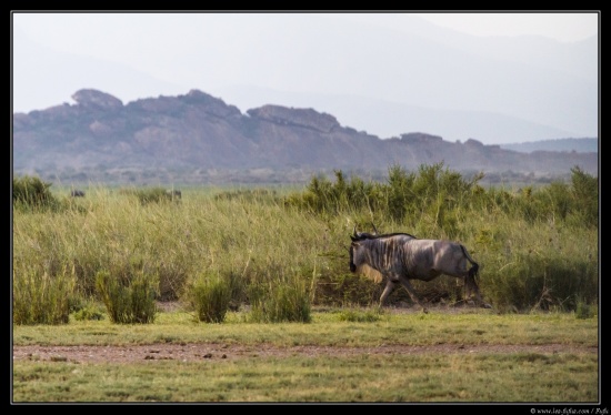 Tanzanie 2014