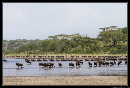 Tanzanie 2014