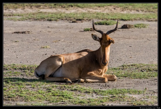 Tanzanie 2014