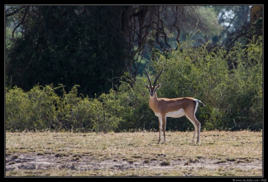 Tanzanie 2014