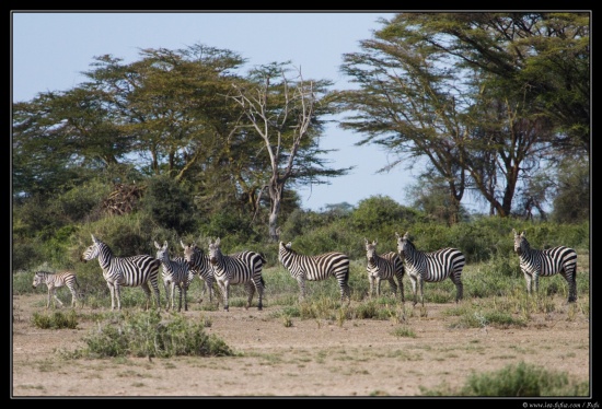 Tanzanie 2014