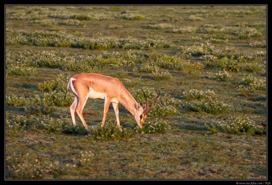 Tanzanie 2014