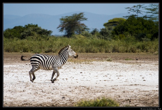 Tanzanie 2014