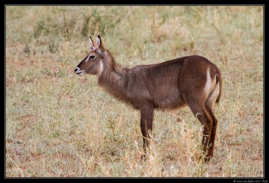 Tanzanie 2014