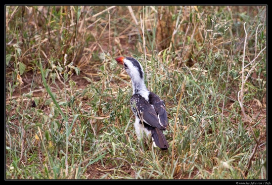 Tanzanie 2014