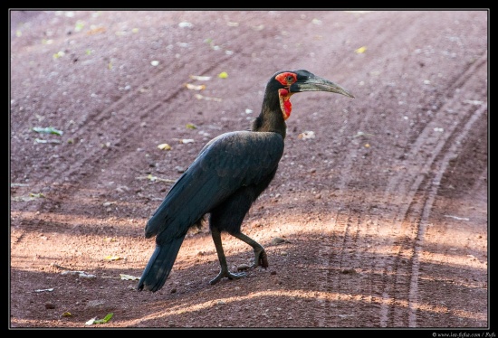 Tanzanie 2014