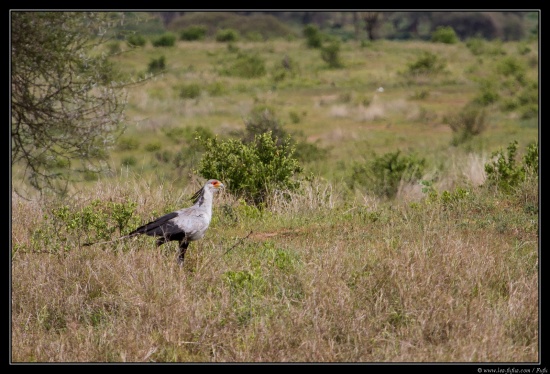 Tanzanie 2014