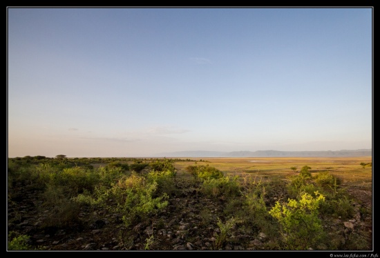 Tanzanie 2014