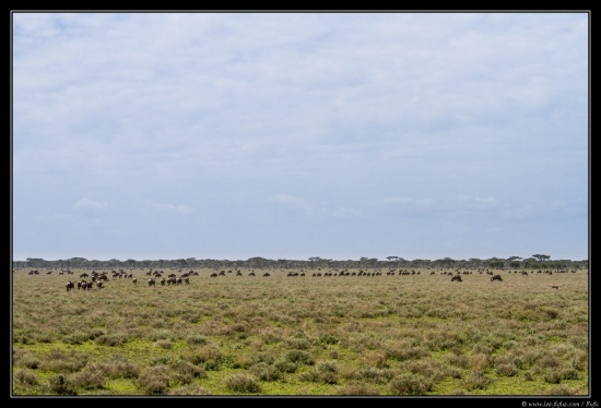 Tanzanie 2014