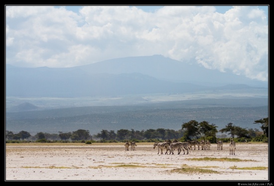 Tanzanie 2014