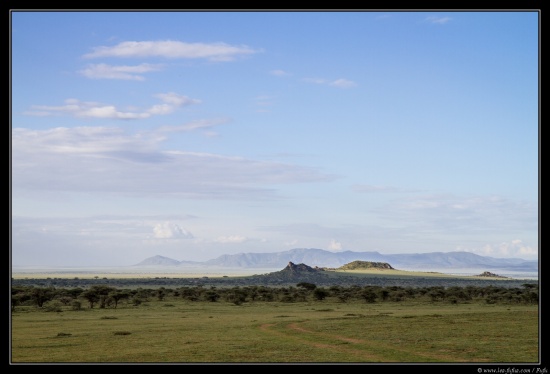 Tanzanie 2014