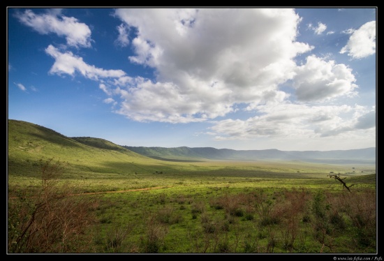 Tanzanie 2014