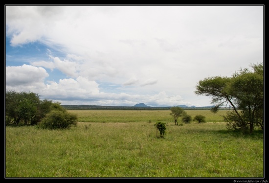 Tanzanie 2014