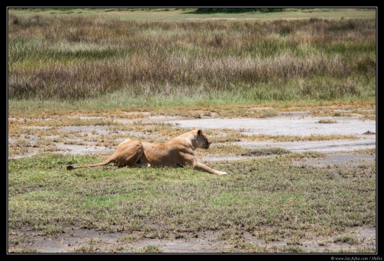 Tanzanie 2014