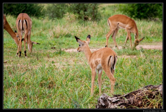 Tanzanie 2014