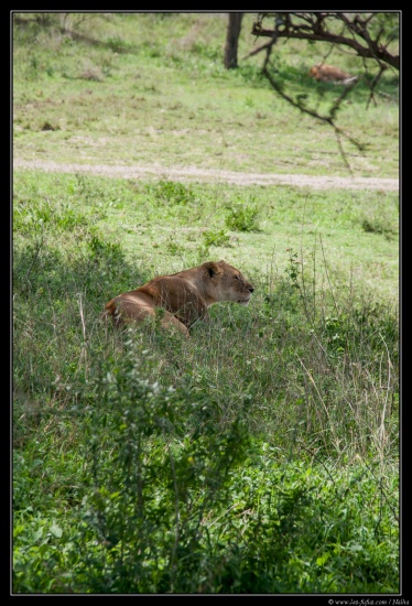 Tanzanie 2014