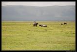 Tanzanie 2014