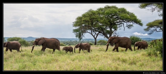 Tanzanie 2014