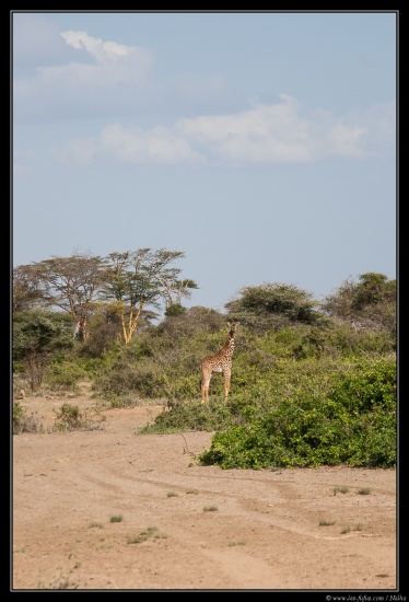 Tanzanie 2014