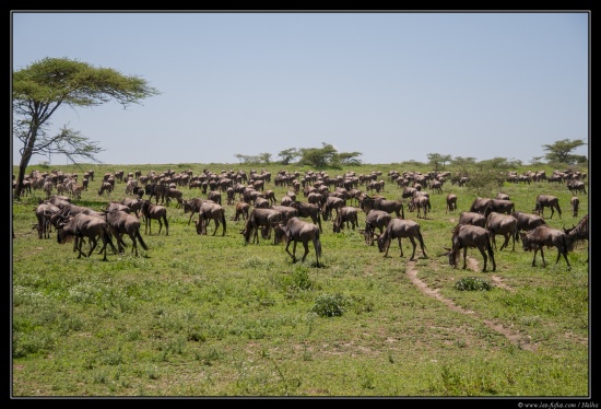 Tanzanie 2014