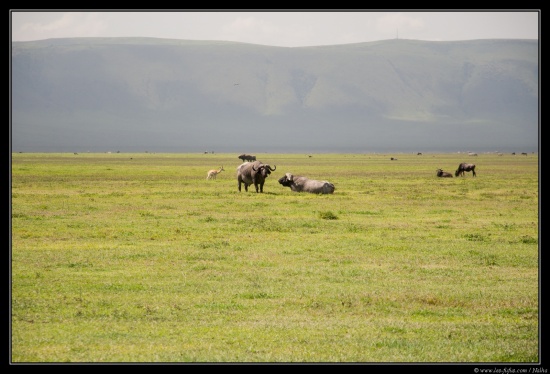 Tanzanie 2014