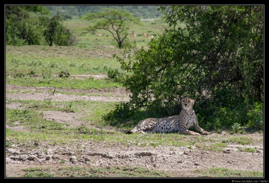 Tanzanie 2014