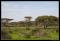 Tanzanie 2014