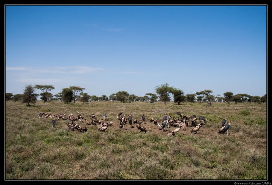 Tanzanie 2014