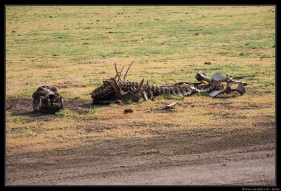 Tanzanie 2014