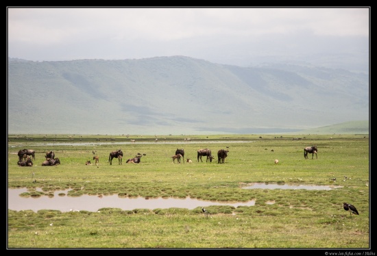 Tanzanie 2014