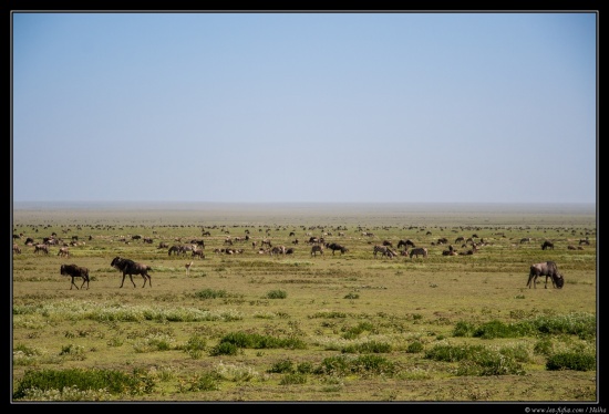 Tanzanie 2014