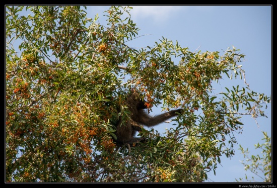 Tanzanie 2014