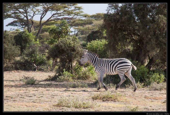 Tanzanie 2014