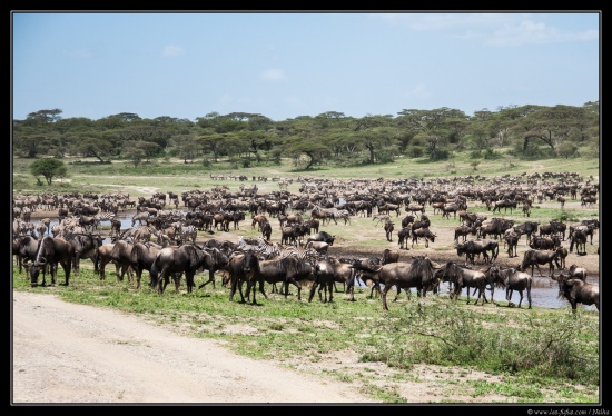 Tanzanie 2014