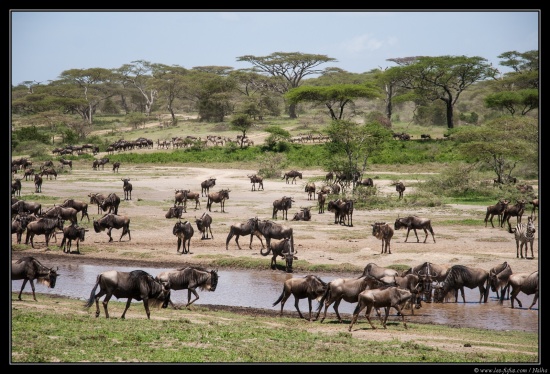 Tanzanie 2014