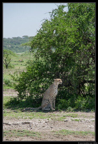 Tanzanie 2014