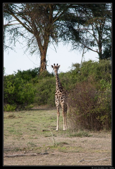 Tanzanie 2014