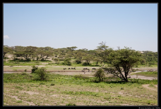 Tanzanie 2014