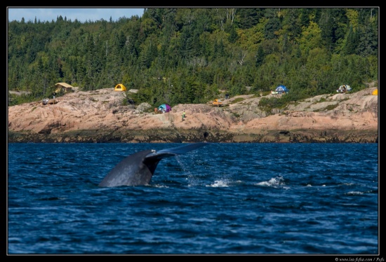 Quebec 2013