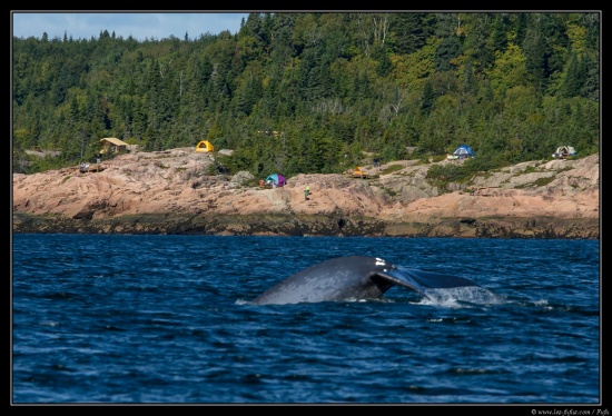 Quebec 2013